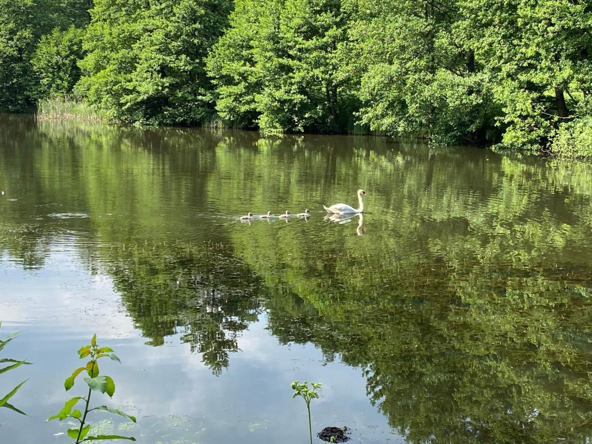 Klosterhotel Walkenried Zewnętrze zdjęcie