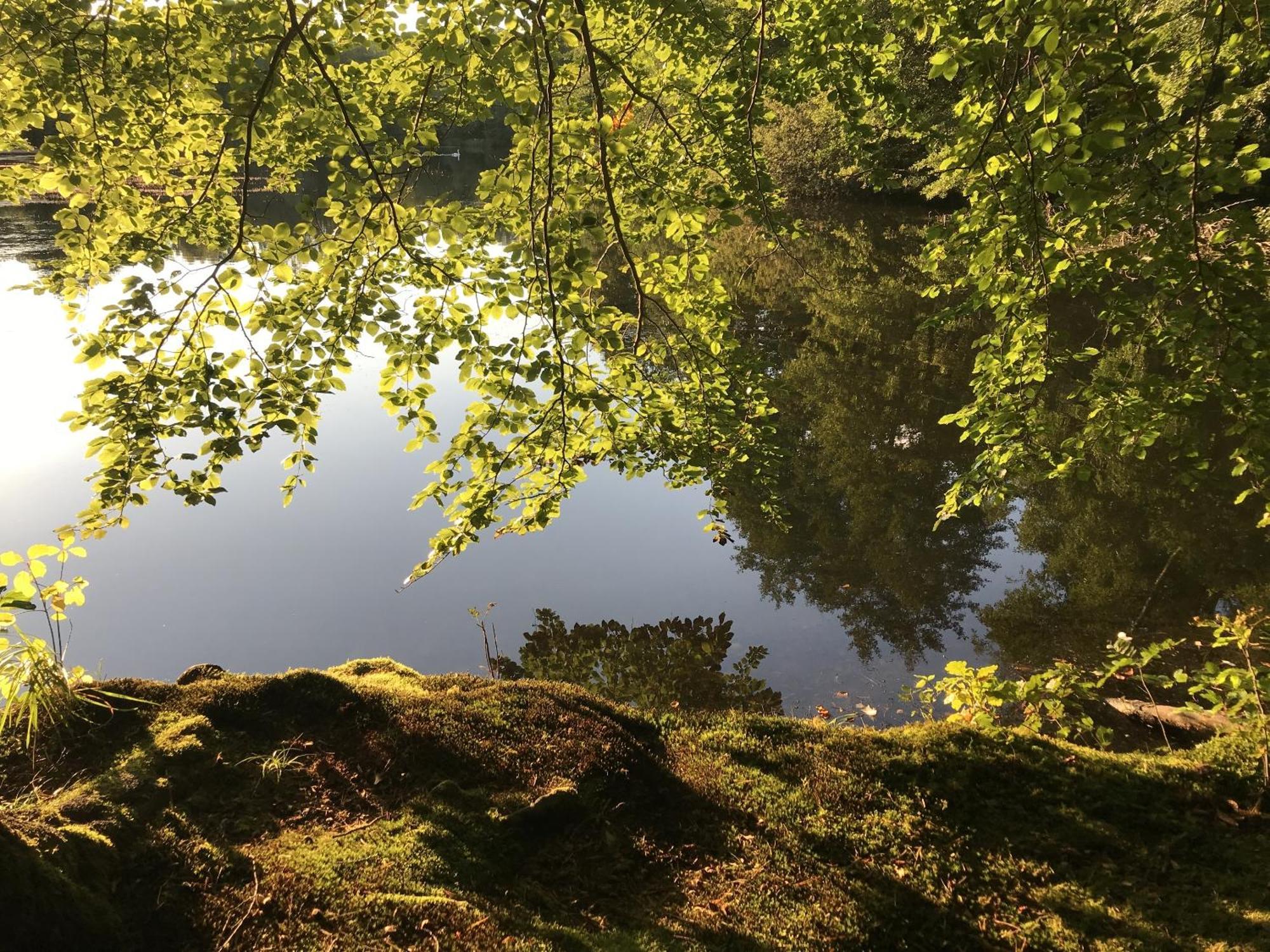 Klosterhotel Walkenried Zewnętrze zdjęcie