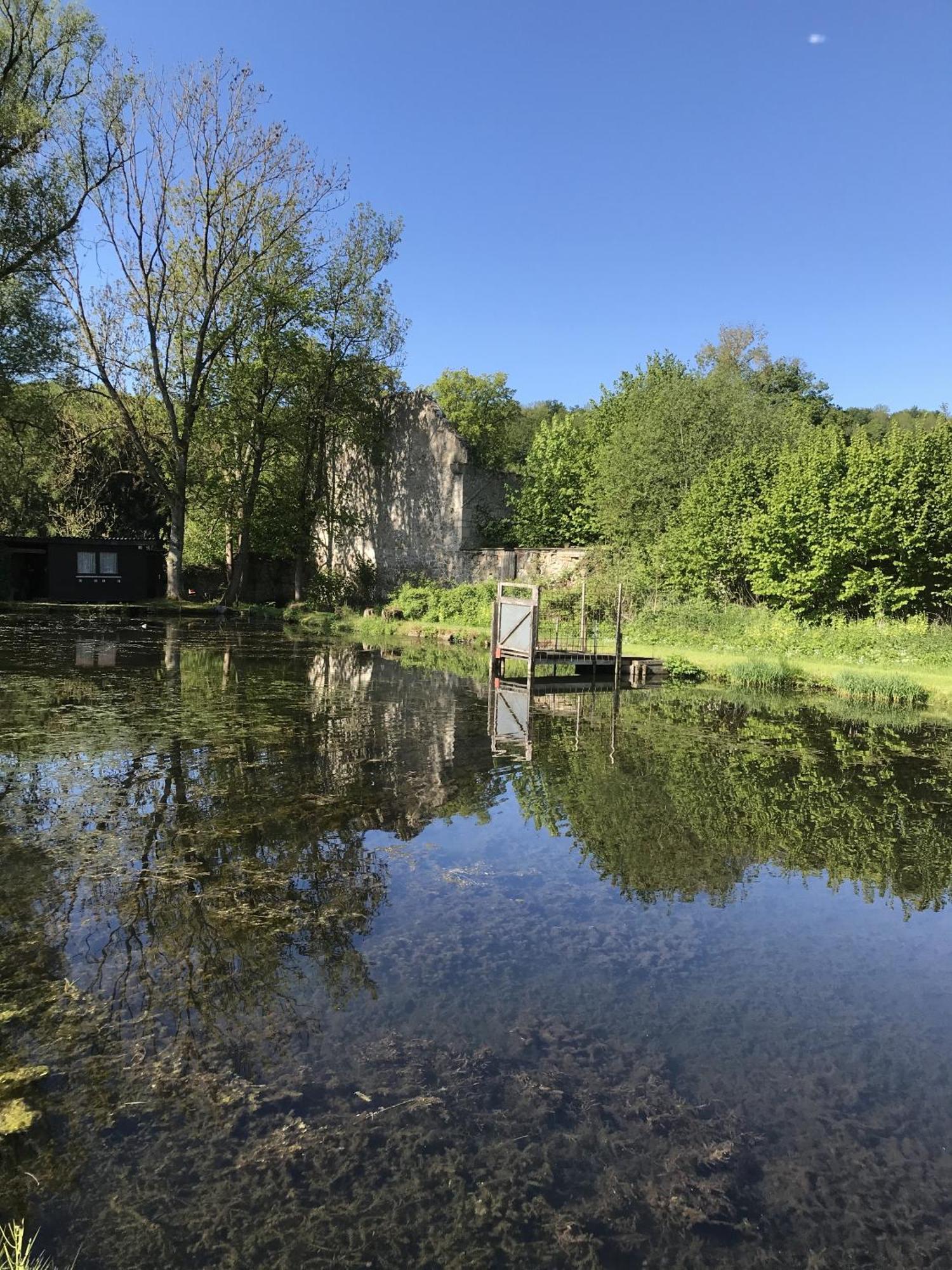 Klosterhotel Walkenried Zewnętrze zdjęcie